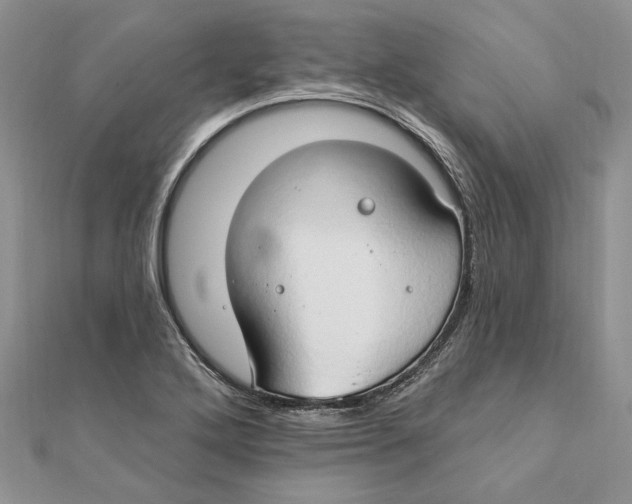 X0000111441272200908031345