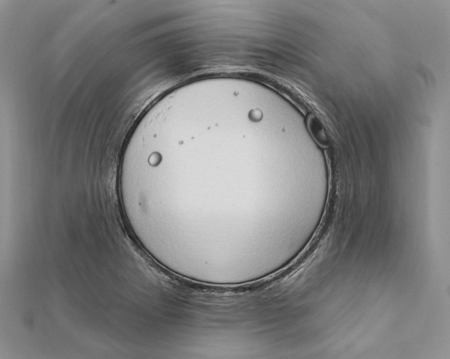 X0000111441273200908031345