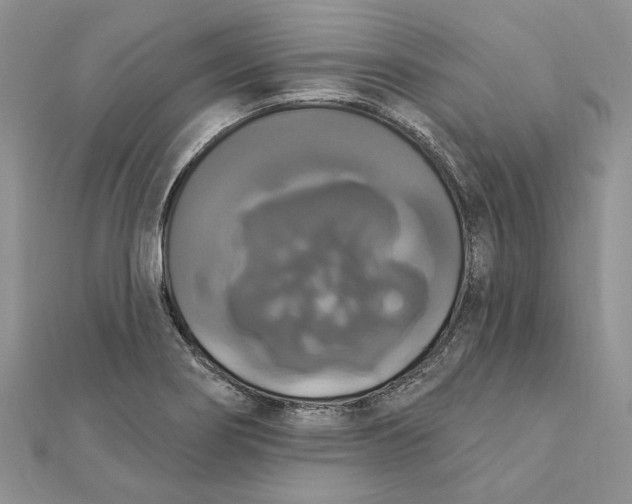 X0000111441274200908031345