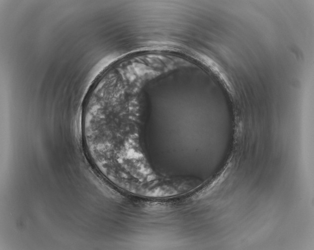 X0000111441275200908031345