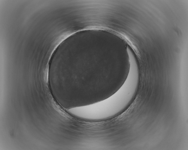 X0000111441276200908031345