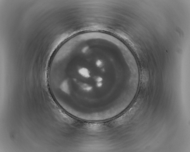 X0000111441278200908031345