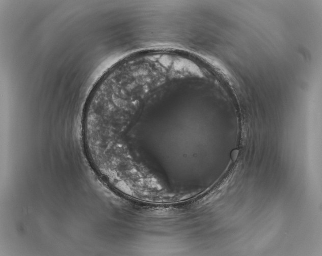 X0000111441279200908031345