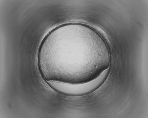 X0000111441280200908031345