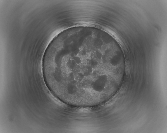 X0000111441283200908031345