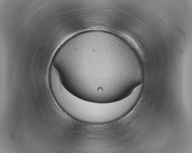 X0000111441284200908031345