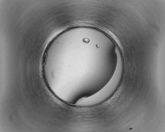 X0000111441285200908031345