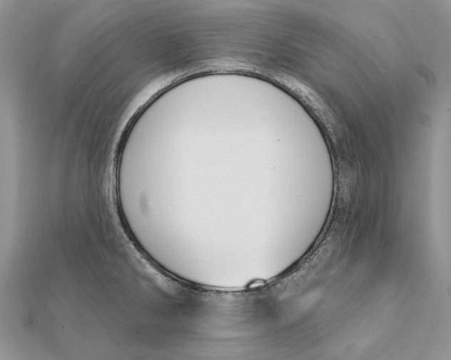 X0000111441286200908031345