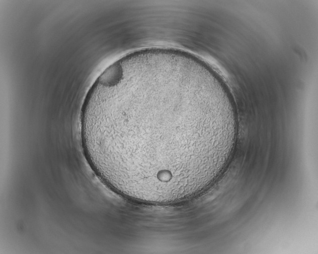 X0000111441287200908031345