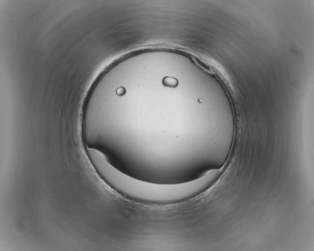 X0000111441288200908031345