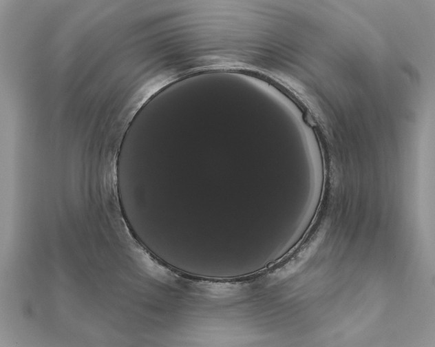 X0000111441289200908031345