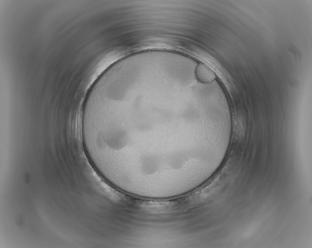 X0000111441290200908031345