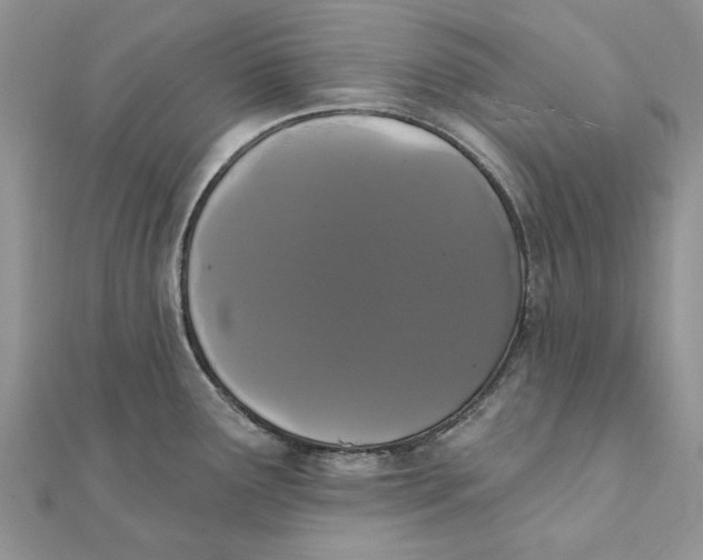 X0000111441291200908031345