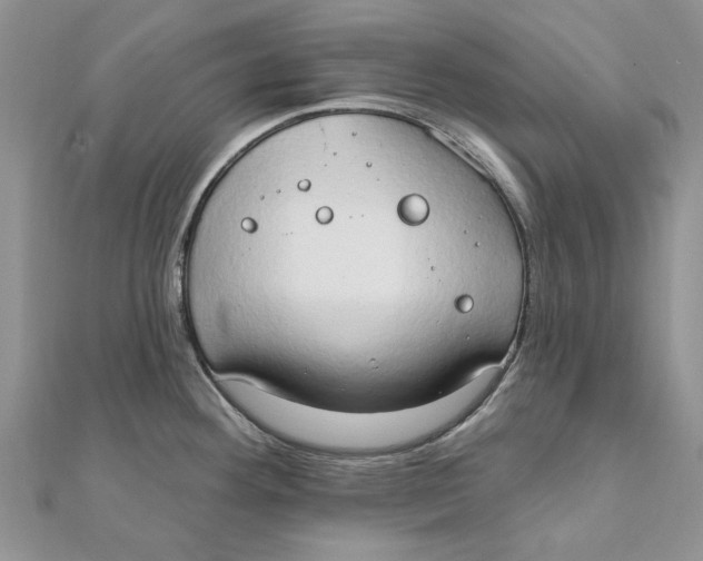 X0000111441292200908031345