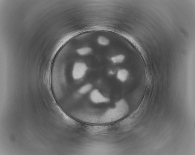 X0000111441294200908031345