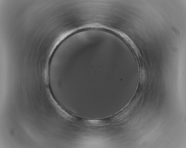 X0000111441295200908031345