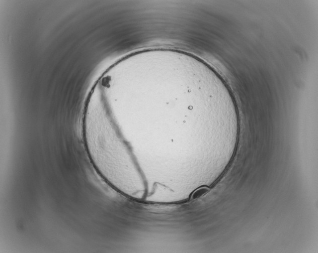 X0000111441296200908031345