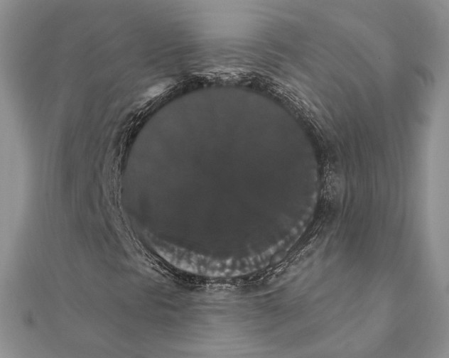 X0000111441297200908031344