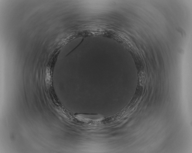 X0000111441298200908031344