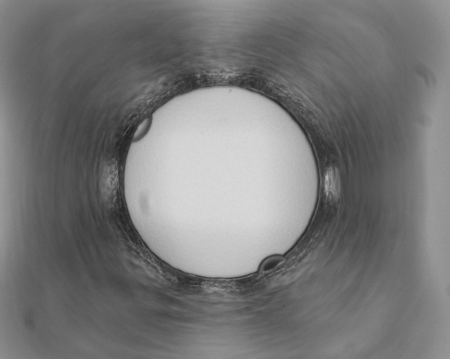 X0000111441299200908031344