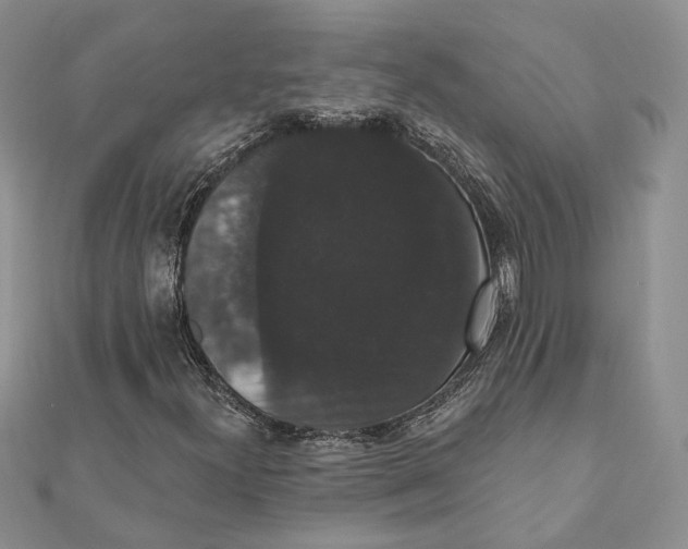 X0000111441300200908031344