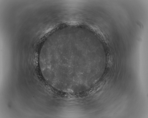 X0000111441301200908031344