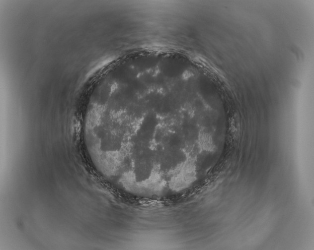 X0000111441302200908031344