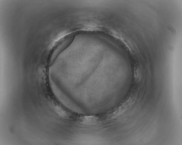 X0000111441304200908031344