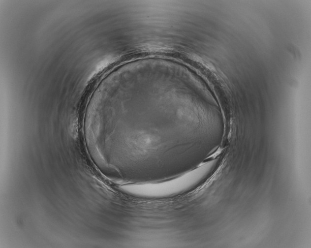 X0000111441306200908031344