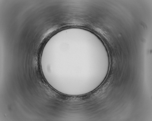 X0000111441307200908031344