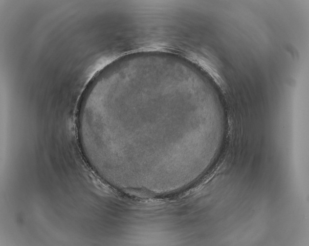 X0000111441308200908031344