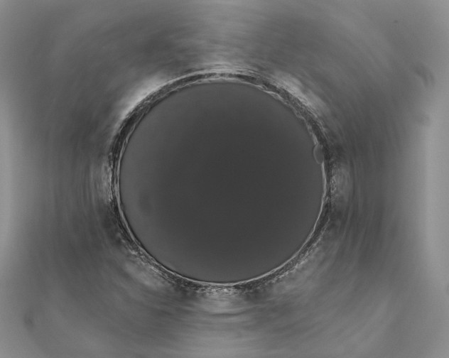 X0000111441310200908031344