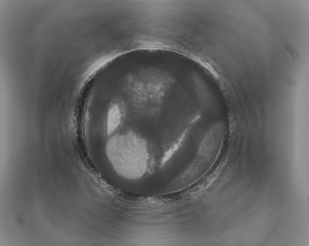 X0000111441311200908031344