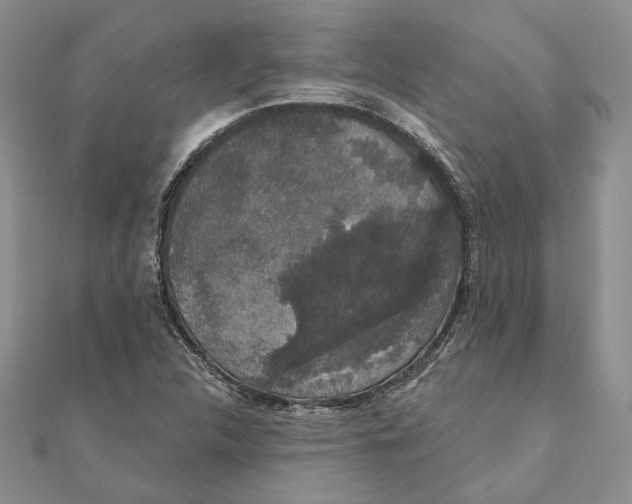 X0000111441312200908031344