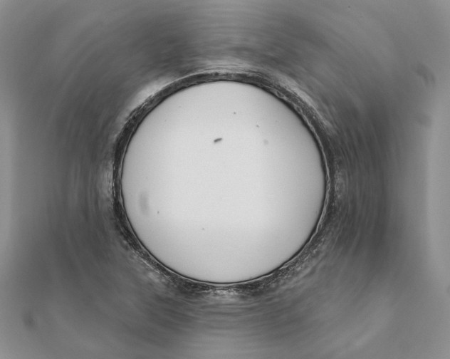 X0000111441315200908031344