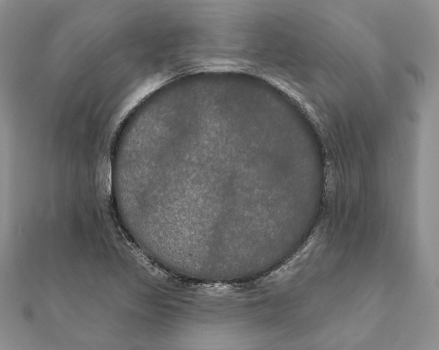 X0000111441317200908031344