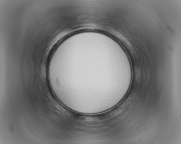 X0000111441318200908031344