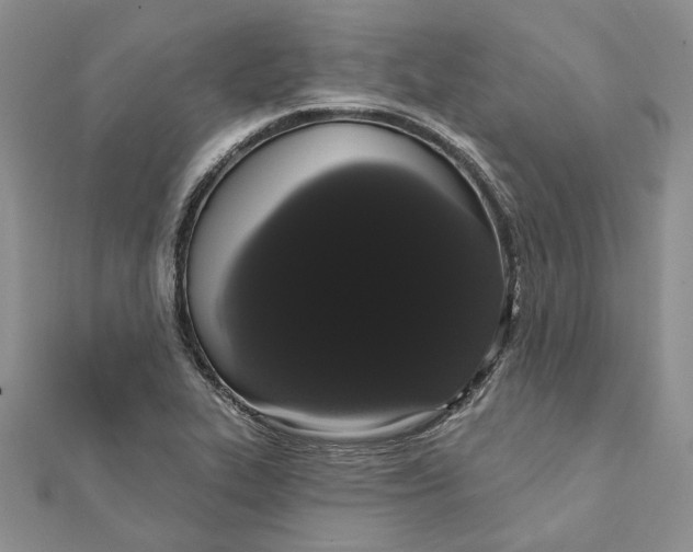 X0000111441319200908031344