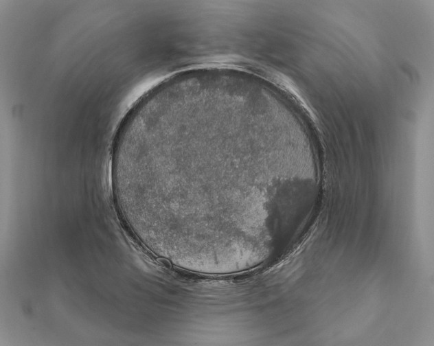 X0000111441320200908031344