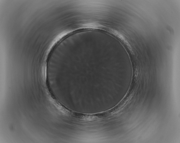 X0000111441323200908031344