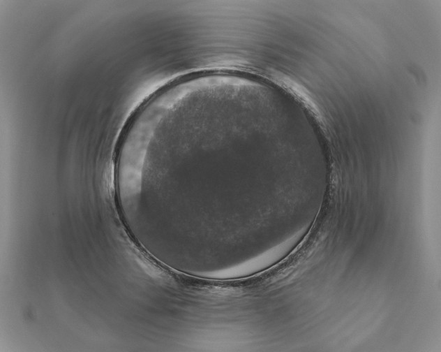 X0000111441324200908031344