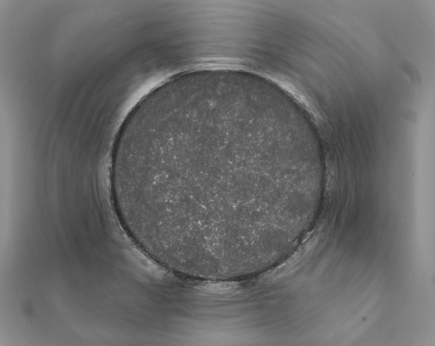 X0000111441325200908031345