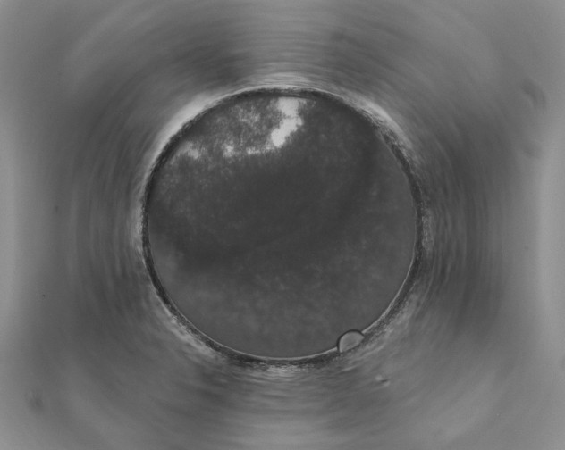 X0000111441326200908031345