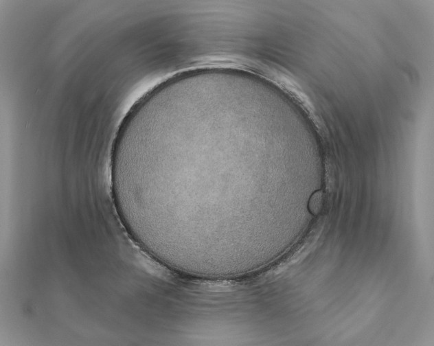 X0000111441328200908031345