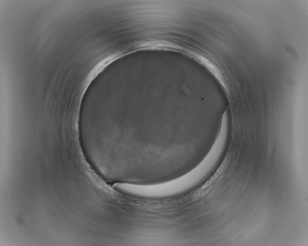 X0000111441330200908031345