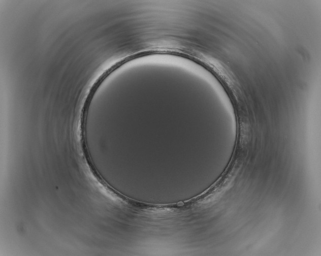 X0000111441331200908031345