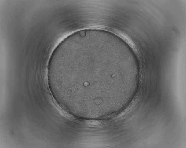 X0000111441332200908031345