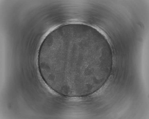 X0000111441333200908031345