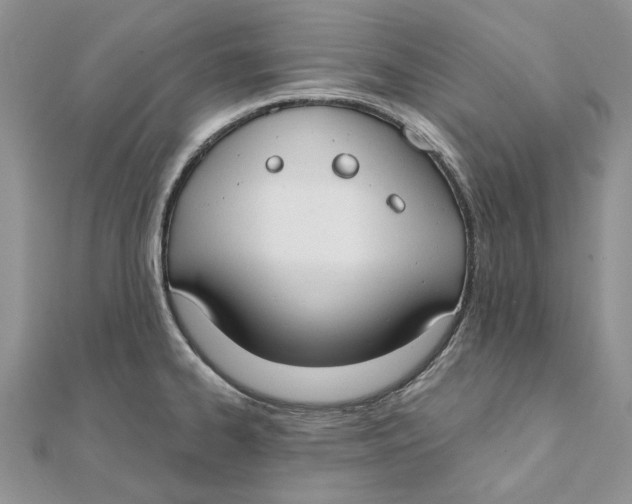 X0000111441334200908031345