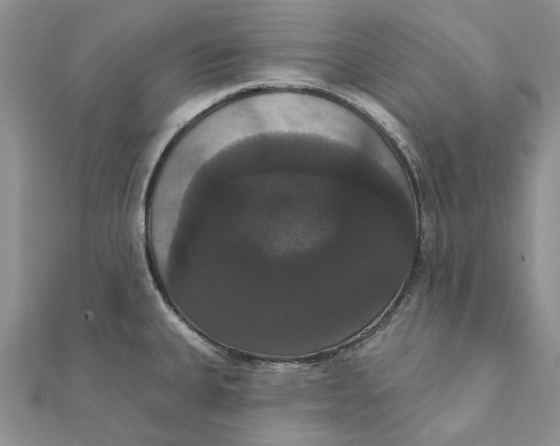 X0000111441335200908031345